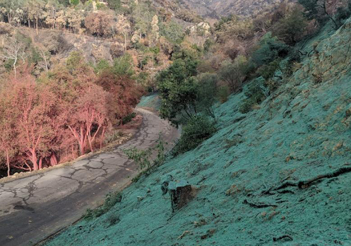 hydroseeding